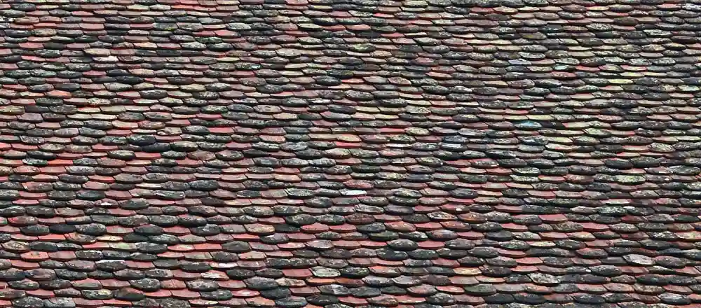 Damaged asphalt shingle roof requiring assessment