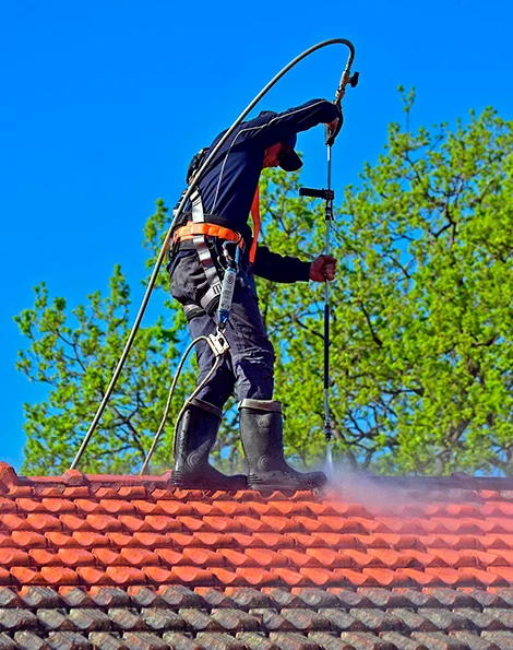 Roof Maintenance Reston, VA